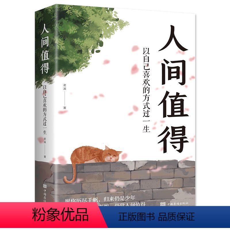 人间值得 【正版】人间值得书以自己喜欢的方式过一生成长励志书愿你遍历山河仍觉人间值得这世界很好但你也不差正能量心态调节青