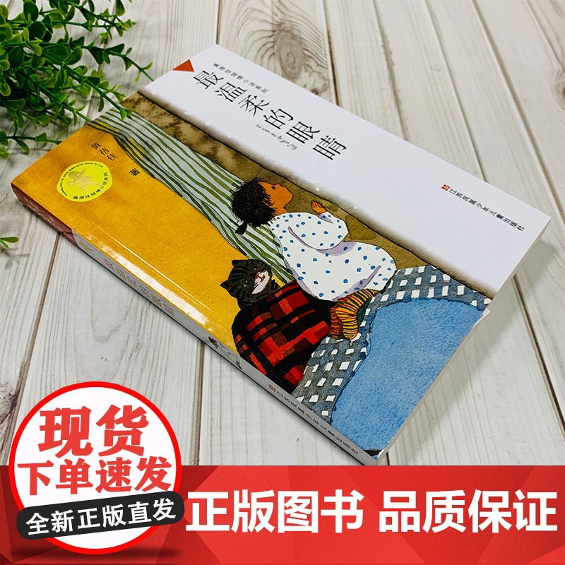 最温柔的眼睛 正版黄蓓佳倾情小说 黄蓓佳短篇散文集为心灵点起一盏灯高清大图