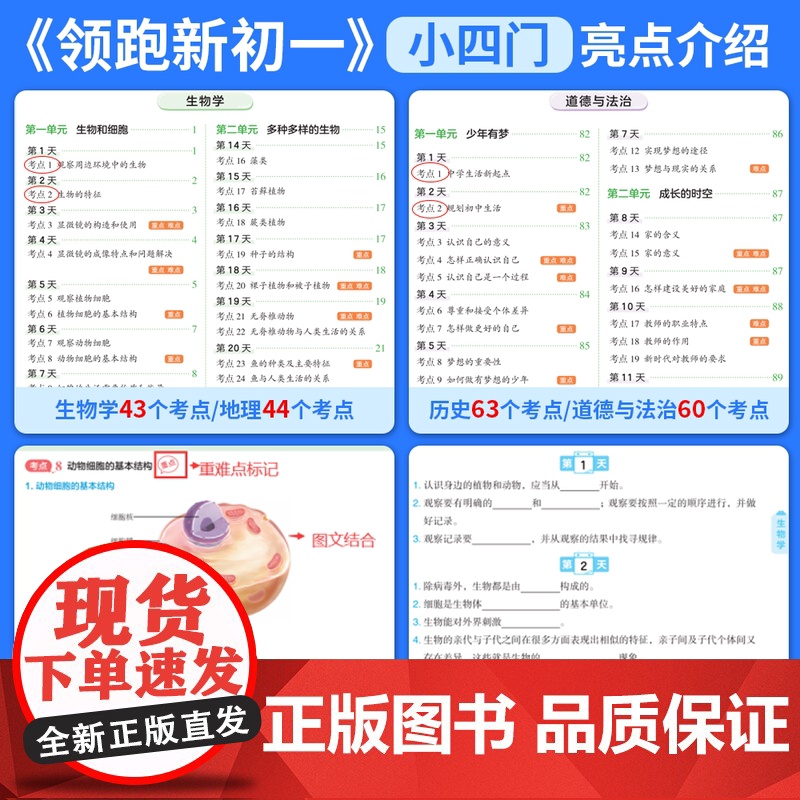 2025秋小橙同学领跑新初一小升初30天打卡暑假衔接教材七年级上册语文数学英语小四门全套课本书全解读同步练习册人教版预习高清大图
