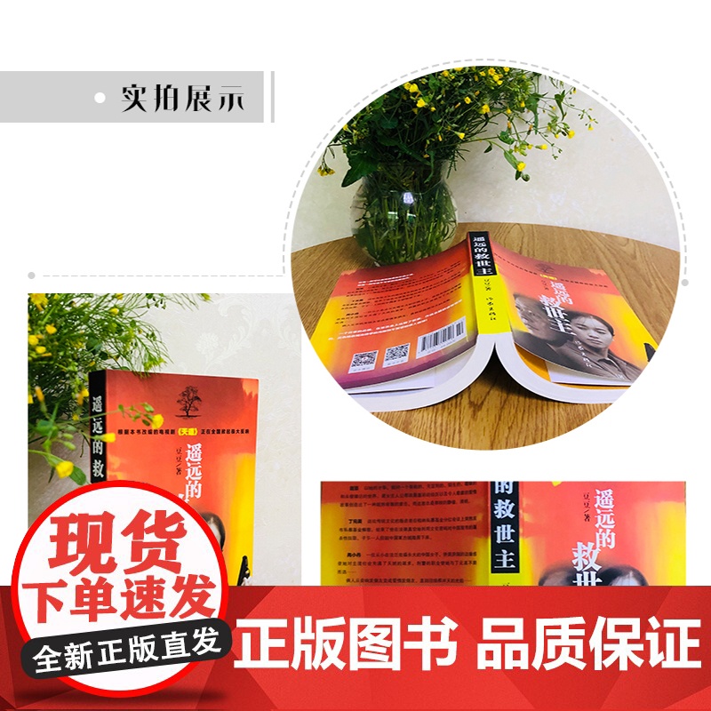 [正版书籍]遥远的救世主 原著未删减版 豆豆著正版小说 热播电视剧天道原著长篇小说现当代经典文学天幕红尘书排行榜高清大图