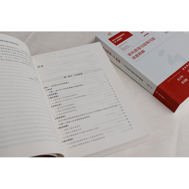 [正版] 新公司法二十四讲 审判原理与疑难问题深度释解 王毓莹 新公司法实务案例分析工作参考 股东股权公司资本公司治