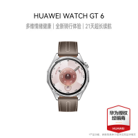 HUAWEI WATCH GT6 (ATM-B19) 46mm 灰色复合素皮表带 冰川灰