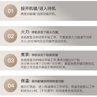 荣事达(Royalstar)电磁炉家用电陶炉1300W大功率迷你电陶炉围炉煮茶智能电陶炉触控红外聚能加热 DTL13C