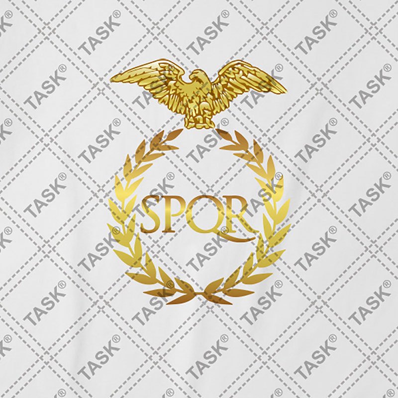 颜系图书设无界古罗马帝国军团spqr文明旗帜标志短袖t恤男女历史衣服