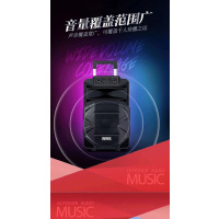 特美声(TEMEISHENG) SL10-31户外广场舞K歌音响大功率便携式拉杆蓝牙带话筒移动音箱