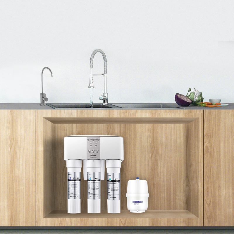 格力3年免换芯净水器家用直饮ro反渗透净水机厨房自来水过滤器wtepc16