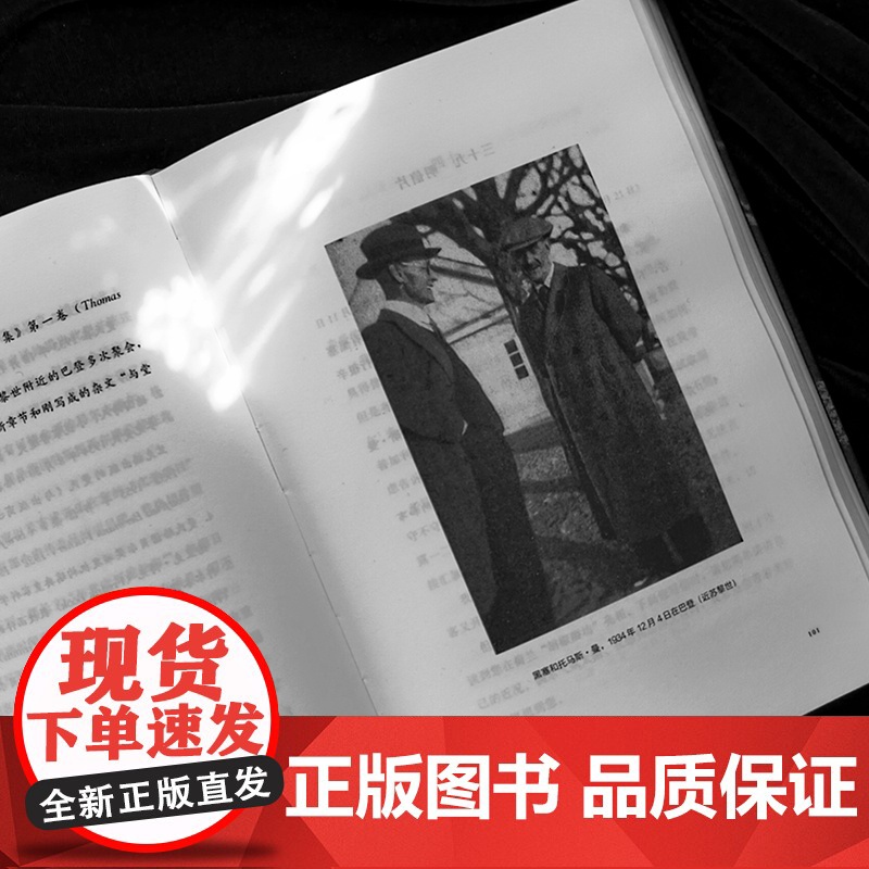 赫尔曼·黑塞与托马斯·曼书信集 诺奖得主 德语文学 国内首译 精装 上海译文出版社 正版高清大图