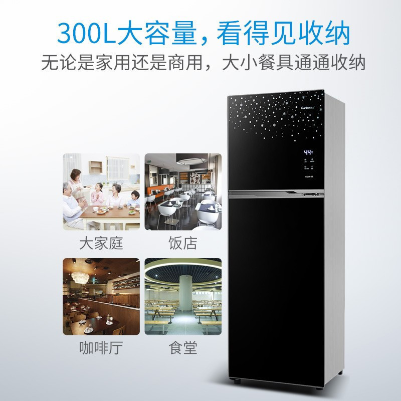 康宝(canbo) XDZ300-DS 商用厨房碗筷消毒碗柜 家用立双门大容量 高温二星无菌储存