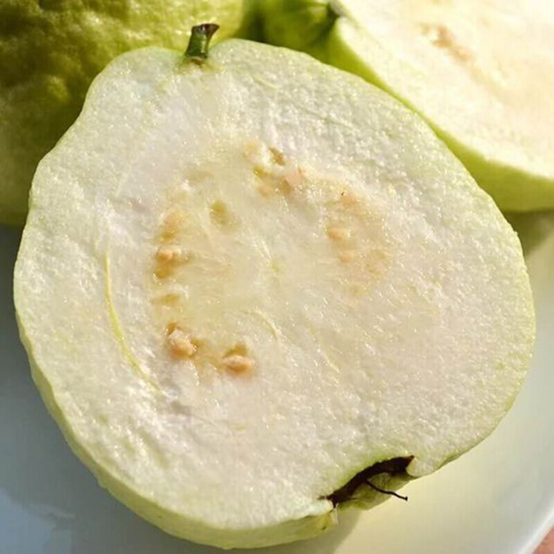 博多客 福建漳州白心芭乐2.5kg新鲜台湾白心番石榴新鲜水果生鲜新鲜