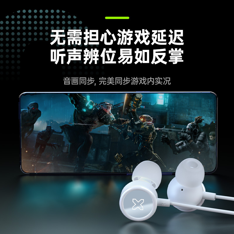 SONGX 有线耳机type-c入耳式耳机Hi-Res金标认证K歌游戏华为小米vivo苹果15手机ipad通用扁头