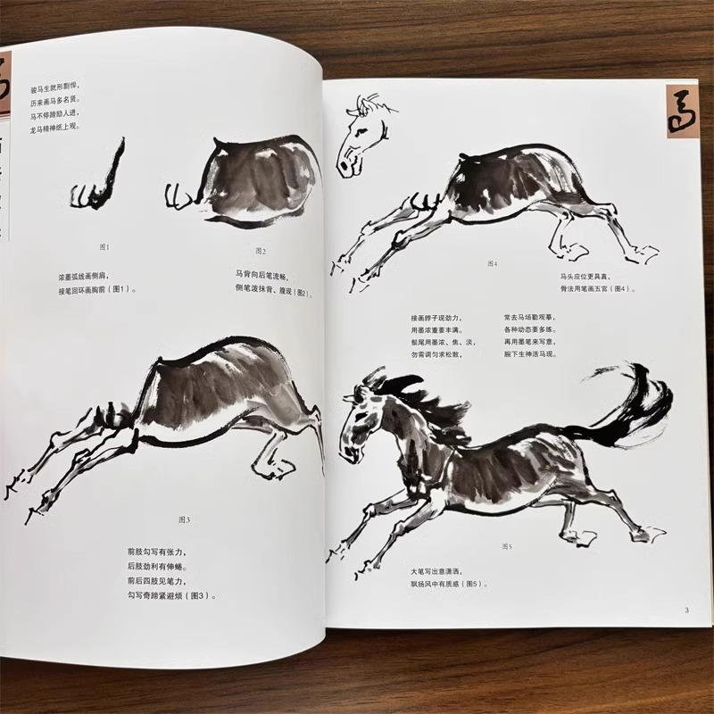 怎样画马 [正版]怎样画马 国画基础 王传贺著 名家画写意马徐悲鸿国画马国画入门构图详解 中国书店画画入门自学零基础绘画