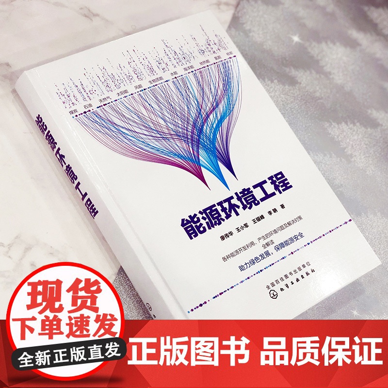 能源环境工程 廖传华 王小军 可再生能源开采和利用方式技术方法工艺过程及主要设备书籍 煤炭石油太阳能风能生物质能新能源技高清大图