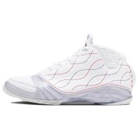 NIKE耐克篮球鞋JORDAN 23 RETRO CN男鞋运动鞋FV3621-140 D