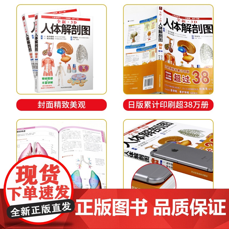 全新3D人体解剖图 人体肌肉解剖运动解剖学断层局部解剖学图谱解剖书教材卫生解剖生理学专业基础医学书运动解剖图谱 书中缘高清大图