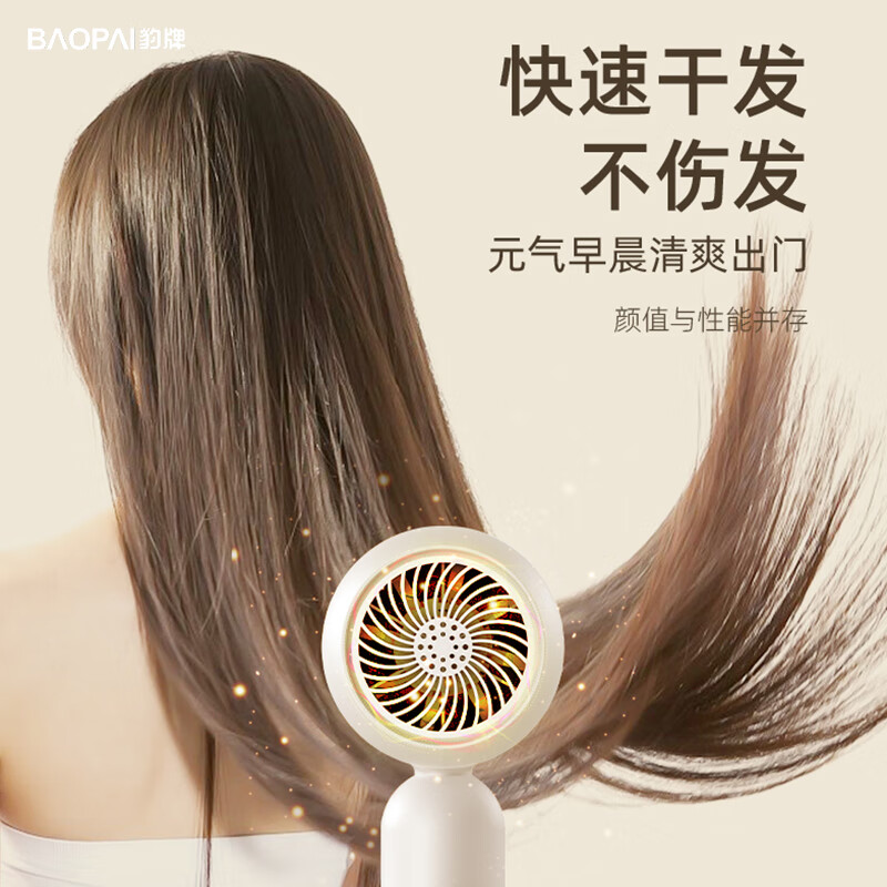 豹牌高转速负离子电吹风 BP-HD295 恒温护发 三档风速 可旋转风嘴高清大图