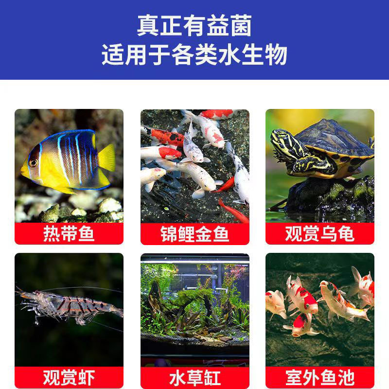 鱼缸硝化细菌硝化菌养鱼用品水族净水剂活菌水质稳定菌王分解活性高清大图