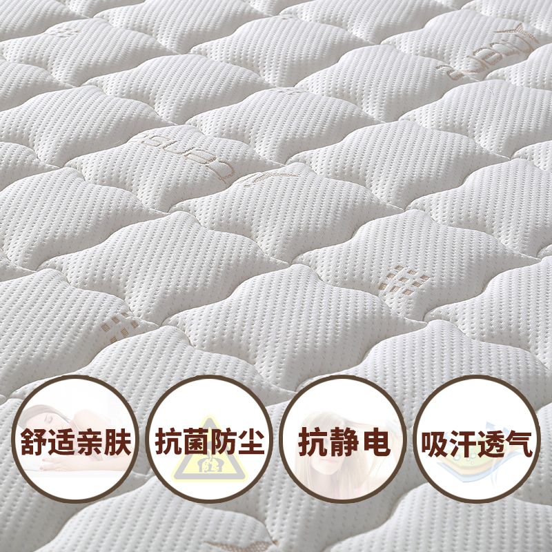 都市名门 天然椰棕榻榻米床垫偏硬护脊学生床垫席梦思宿舍床垫棕榈床垫 多种厚度可选