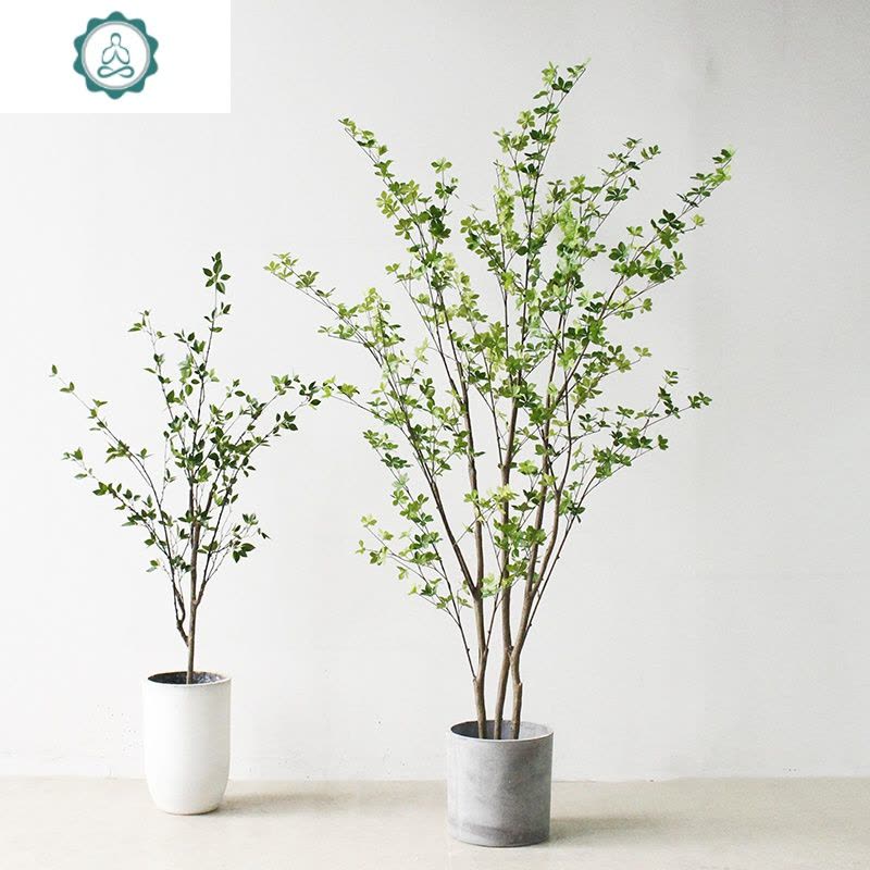 仿真吊钟多瓣叶树叶绿色植物大落地盆栽马醉木现代简约中式意 封后 1.3米吊钟树仿真植物图片