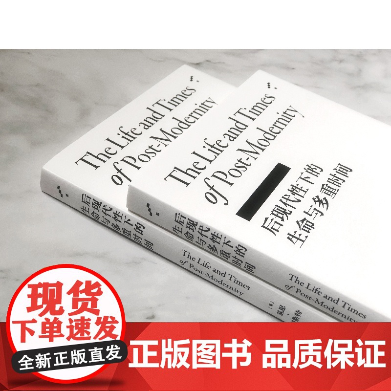 后现代性下的生命与多重时间 李康社会学译著 基思特斯特 反思后现代性 社会学 后现代 文学 上海文艺出版社梯社会学书系高清大图