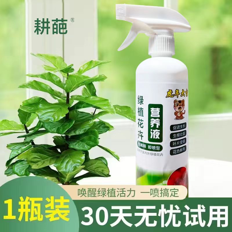 免稀释营养液植物通用型肥料室内盆栽发财树绿萝养花喷洒发黄烂根 免稀释通用营养液500毫升试用1瓶