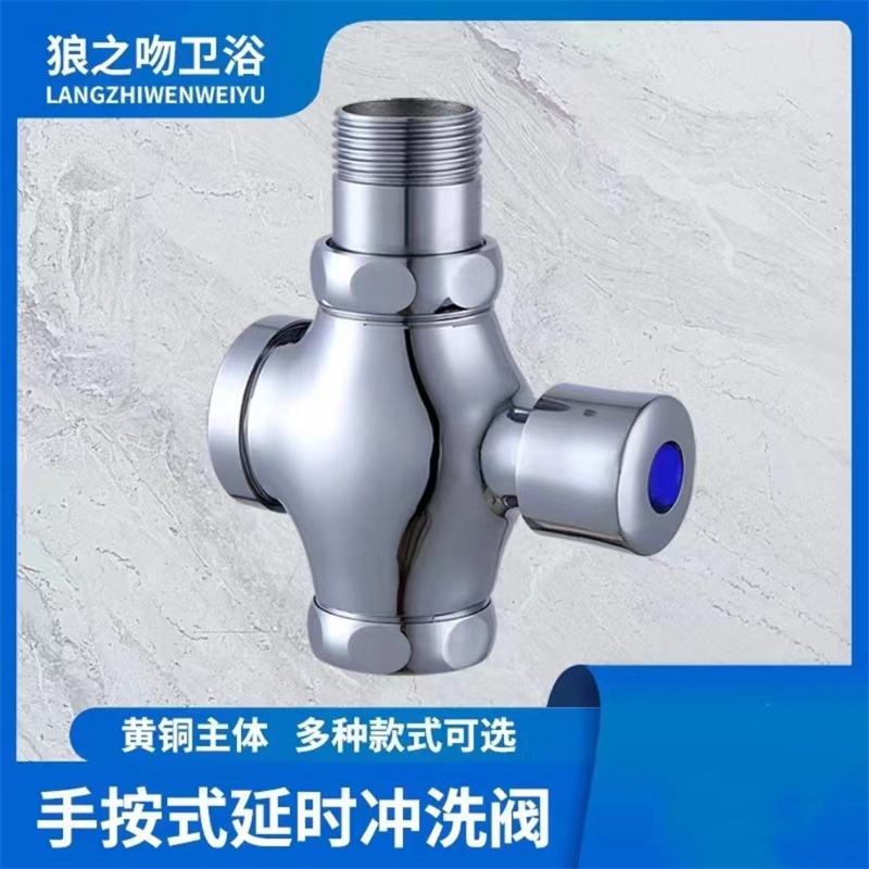 狼之吻 冲洗阀蹲便器 延迟手按式延时阀按钮冲洗阀φ25mm [6分]高清大图