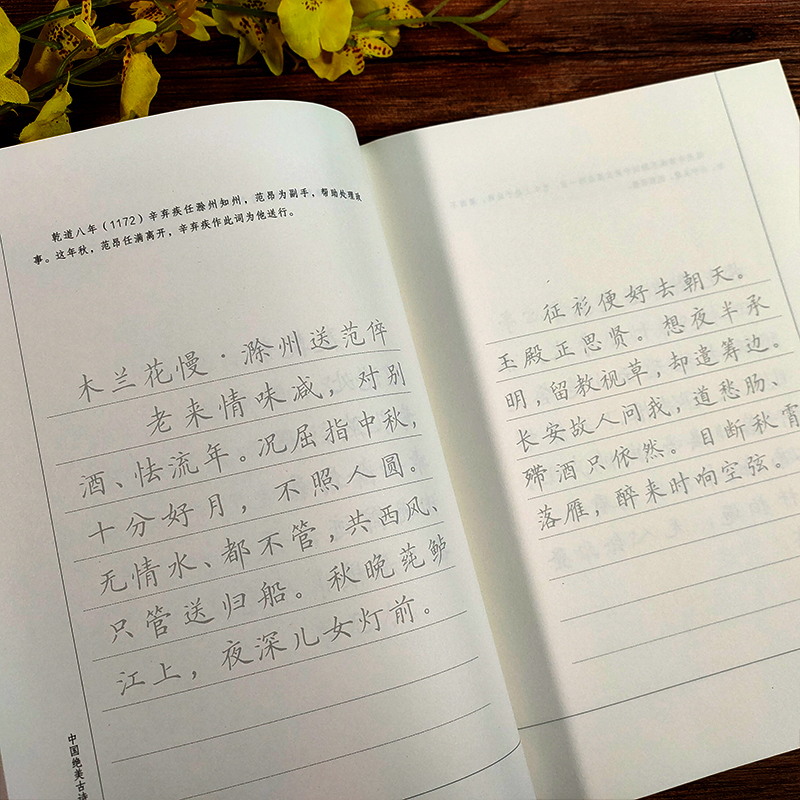 规范楷书硬笔字帖:人物篇全7册 [正版]旗舰规范楷书硬笔字帖:辛弃疾 南宋文学家中国绝美古诗词 成人学生钢笔书法字帖技法