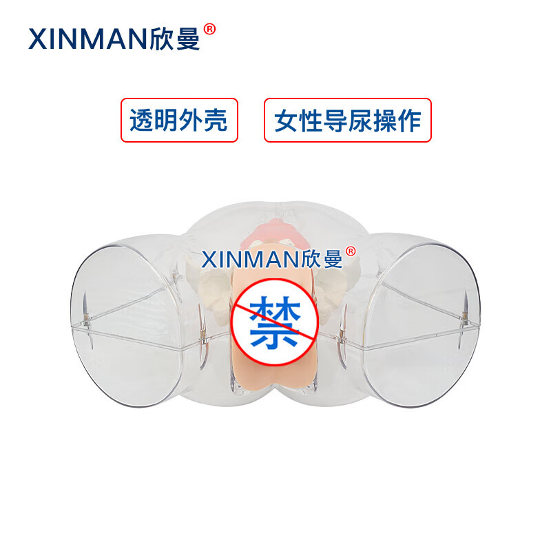 欣曼科教 高级透明女性导尿模型 女性透明导尿操作训练模拟人XM-H15高清大图
