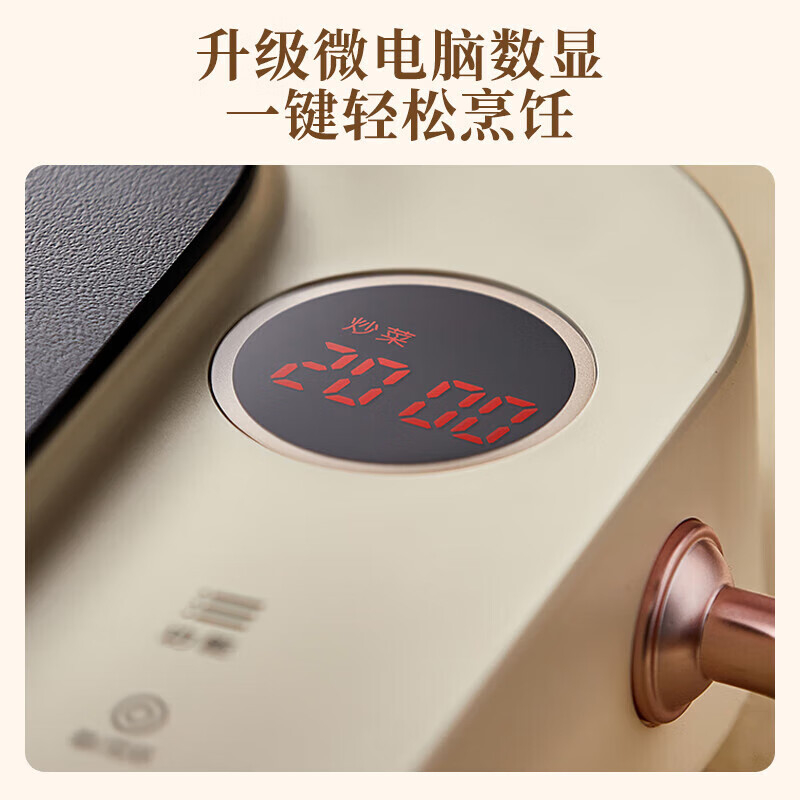 小熊(bear) DTL-D22A1家用电磁炉 大功率电陶炉 小型电磁灶 一键爆炒炒菜 电陶炉高清大图