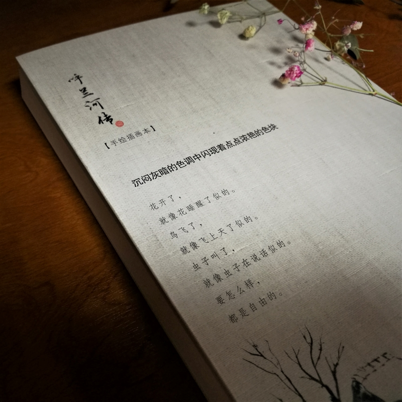 醉染图书呼兰河传(手绘插图本)9787547056127高清大图