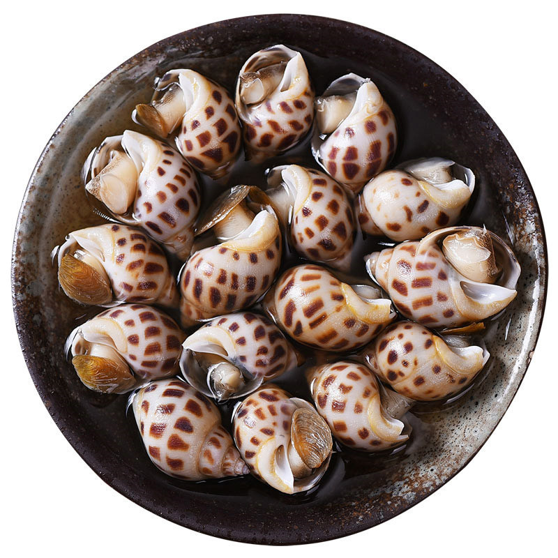 新鲜田螺麻辣螺蛳粉石螺泥螺脆螺嗦螺花螺2kg