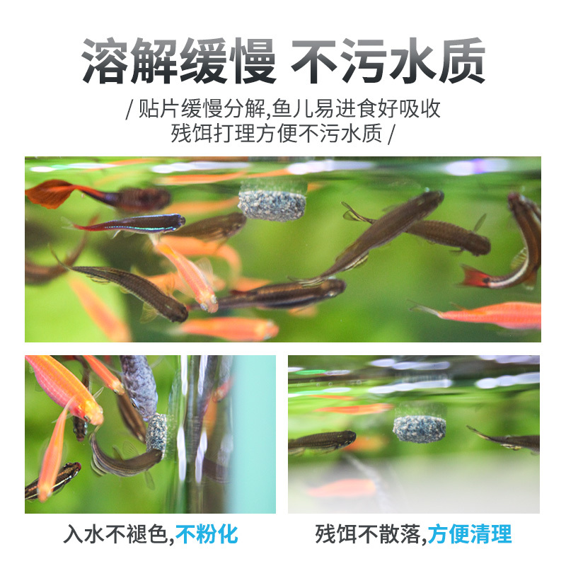 小型鱼贴片鱼食孔雀鱼饲料热带鱼红绿灯科鱼饲料通用型小型鱼粮食高清大图
