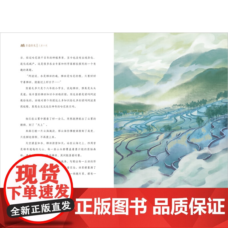 云端上的梯田高清大图