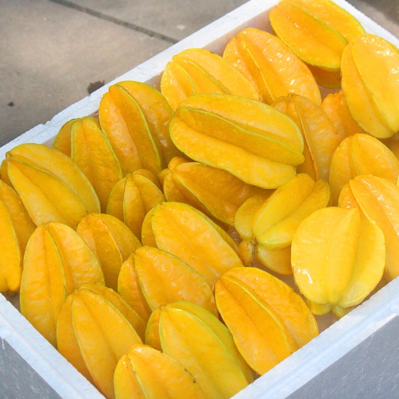 湛航 杨桃新鲜水果当季水果杨桃5斤精选热带水果孕妇红龙阳桃整箱