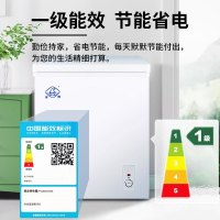 冰熊 62升 冷藏冷冻转换家用商用节能小冰柜迷你卧式一级能耗小型变温冷柜微霜款BC/BD-62A118