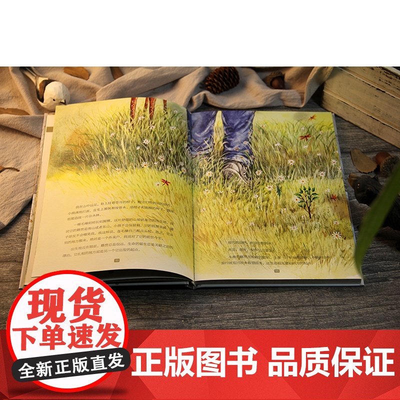 []大自然的邀请函 (精装大套装全5册 山林史诗+小木屋的昼与夜+我和树的一年+想念虫子和草+鸟兽为伴儿)高清大图