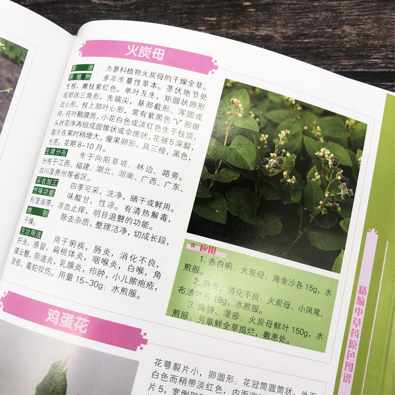 [正版]精编中国药典中药原色图谱中草药图鉴图谱中国药材图鉴 中医学书籍中药材大全 300余种常用中草药识别应用原色图片