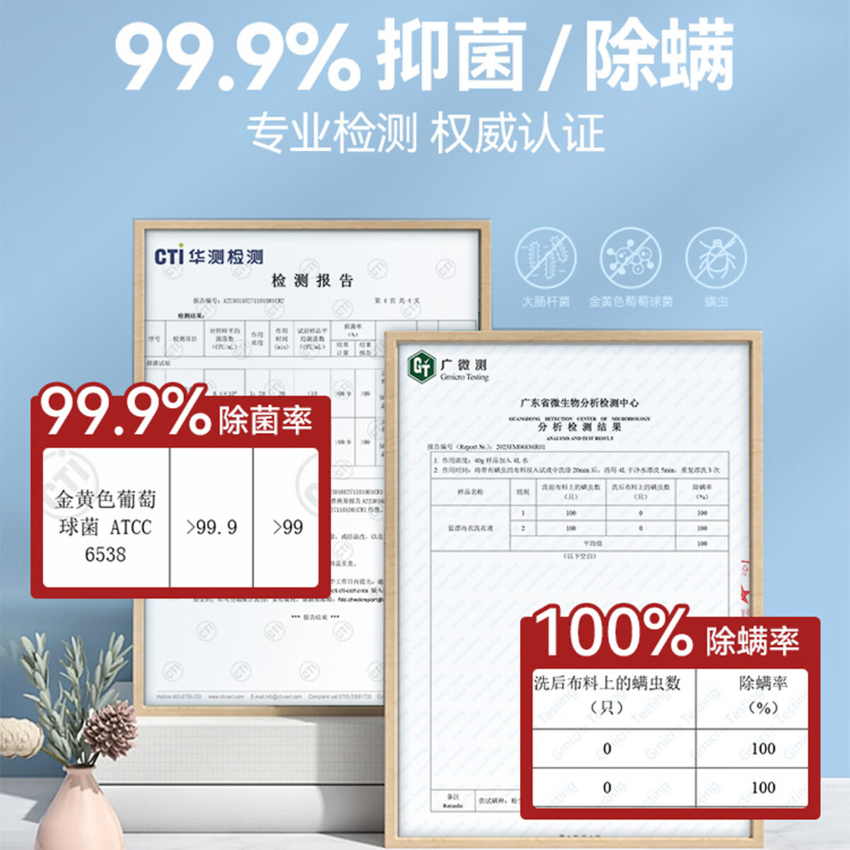 蓝漂抑菌内衣洗衣液500ml*2(瓶装)内衣内裤专用洗衣液抑菌除螨去血渍手洗内裤男女士内衣清洗液高清大图