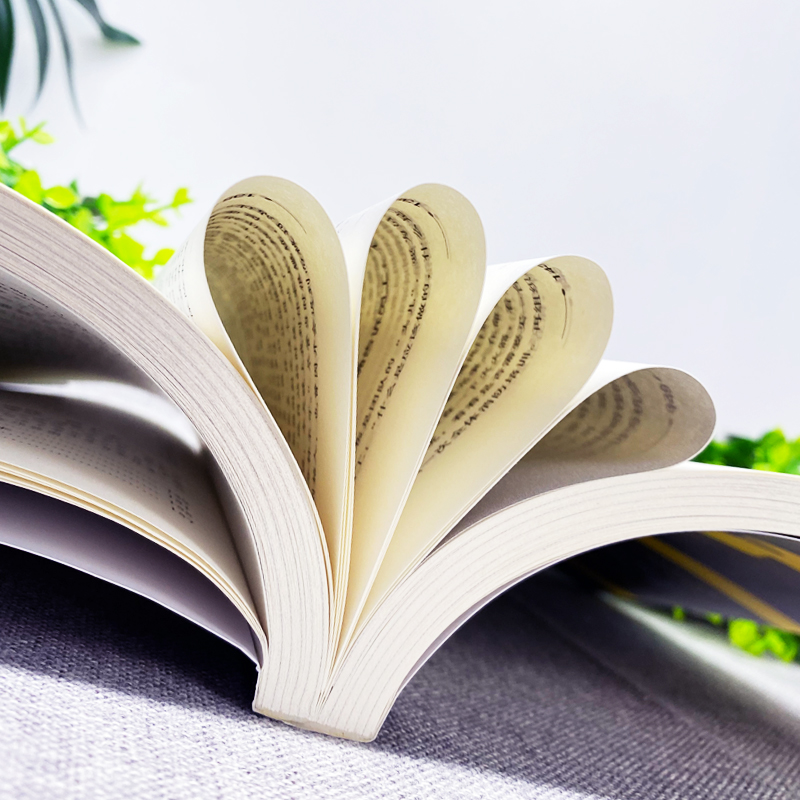 [正版]一个小公司老板的日常管理+管理圣经 6册 创业团队管理领导力书 不懂带团队你就自己累管理不狠团队不稳管理心理学高清大图