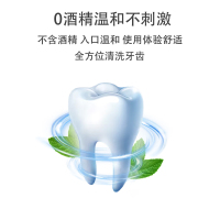 怀梦草 漱口水250ml*5瓶 双重薄荷精华深层清洁冰蓝劲爽多效全护清新口气