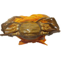 万里鲜 三门青蟹大红膏蟹海蟹鲜活 1kg 3只 生鲜活螃蟹