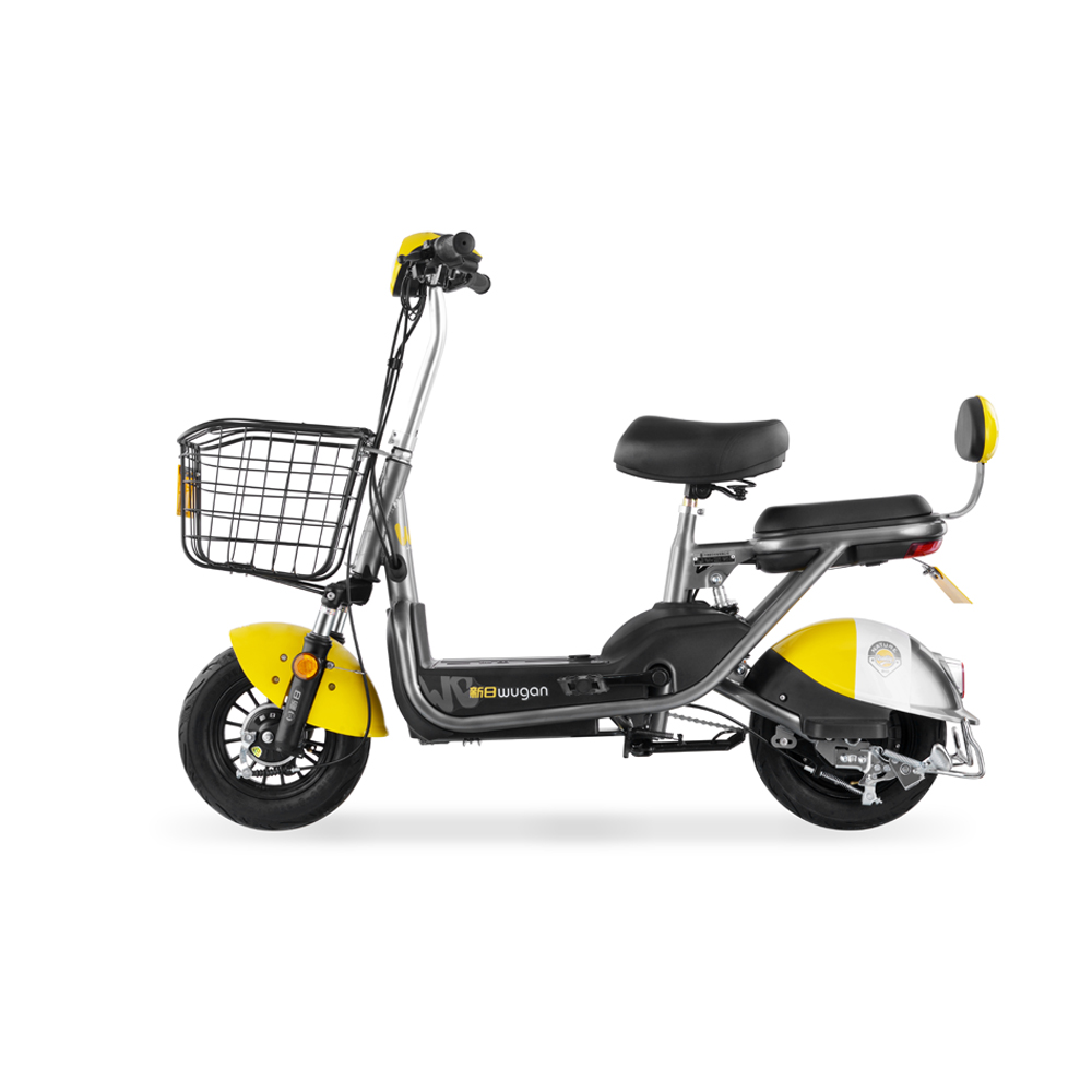 新日sunra电动车新国标舞感电动自行车可提取锂电成人电瓶车男女式中