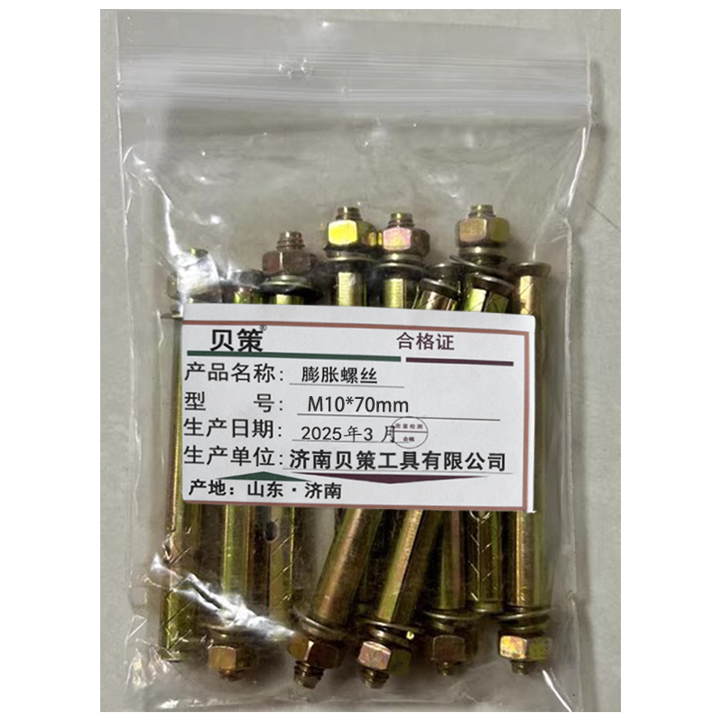 贝策 膨胀螺丝 M10*70mm 个