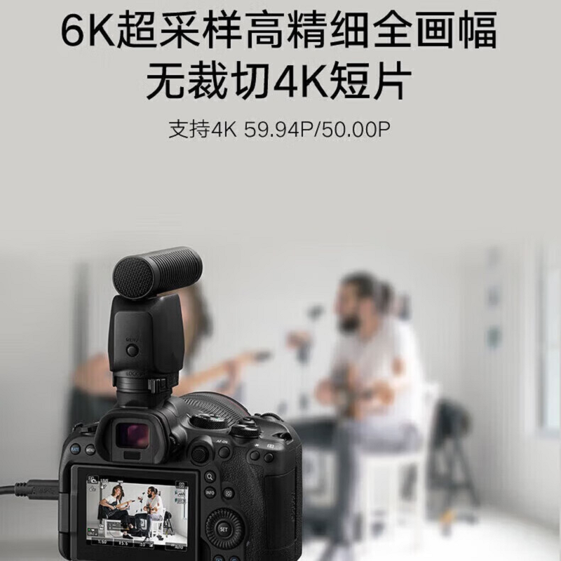 佳能(Canon)R6 Mark II全画幅微单相机 vlog视频数码高清专业级 R6二代 单机身 官方标配高清大图