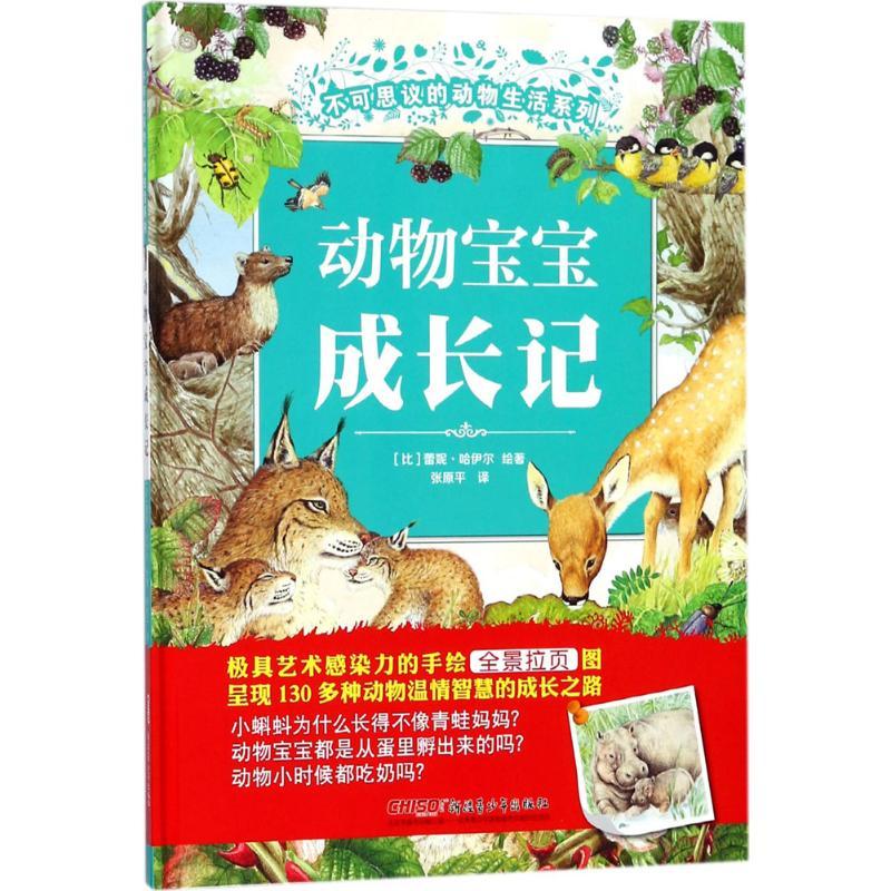 正版新书]不可思议的动物生活系列?动物宝宝成长记蕾妮·哈伊尔97高清大图