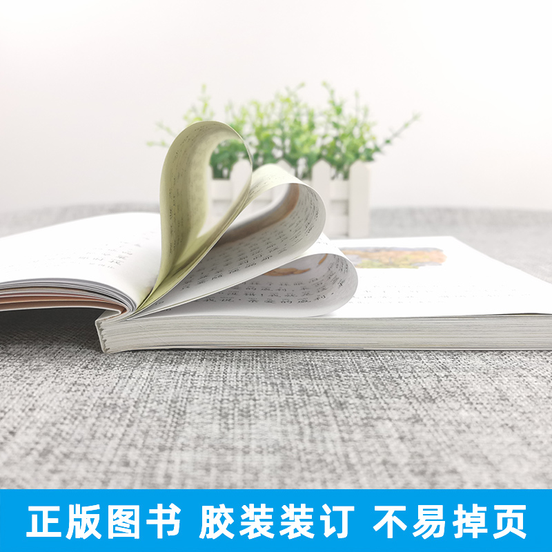 小鹿斑比 [正版]小鹿斑比注音版课外书蜗牛小书坊有声故事绘一年级二年级三四阅读儿童绘本书籍系列童书图画小书房会汇壳珍藏小高清大图