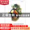 正版 古尔德手绘巨嘴鸟高清大图:装裱册页与临摹范本 (英)约翰·