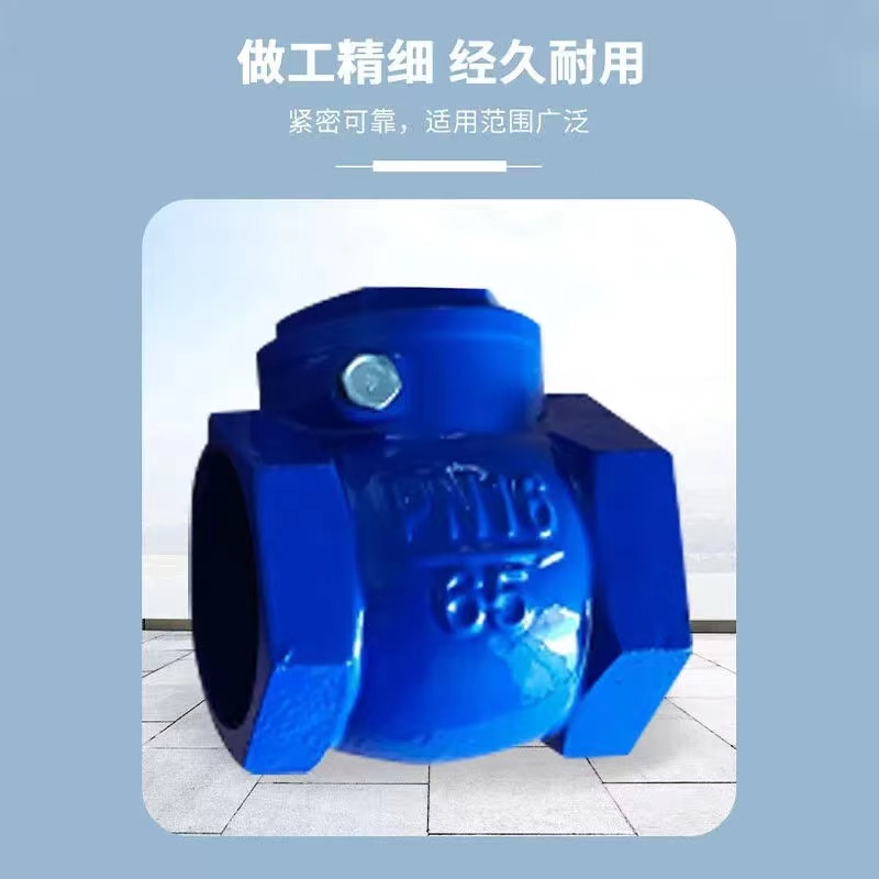 伟鹏双兴 蓝色铸铁丝扣止回阀 DN80 台高清大图
