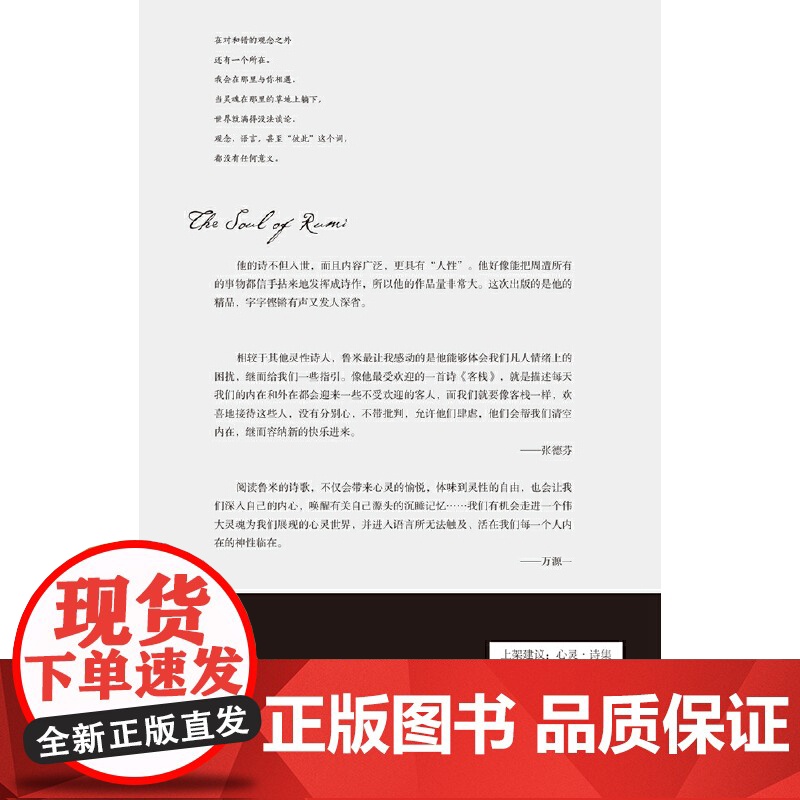 让我们来谈谈我们的灵魂(2020全新修订版,张德芬、武志红诚挚) 鲁米 湖南文艺出版社 正版书籍高清大图