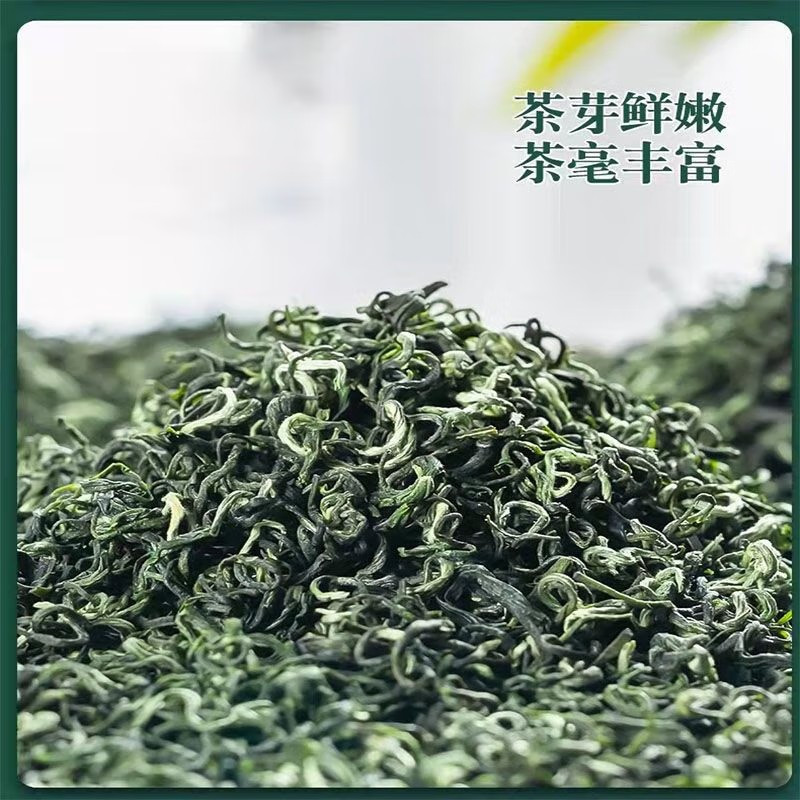 中茶 婺源毛尖绿茶250克