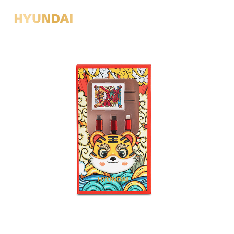 现代 HYUNDAI 智能旅充套装YT2204 (适配器+三合一数据线套装)高清大图